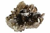 Dark Smoky Quartz Crystal Cluster - Brazil #106963-1